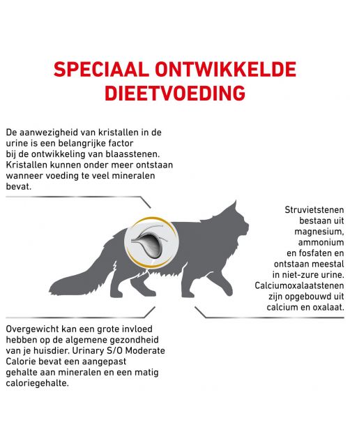 Royal Canin Veterinary Diet Urinary S\/O Moderate Calorie - Kattenvoer