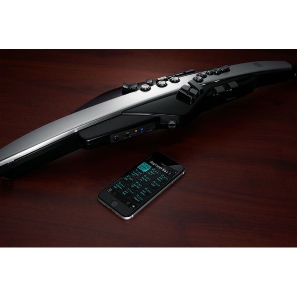 Roland Aerophone Pro AE-30