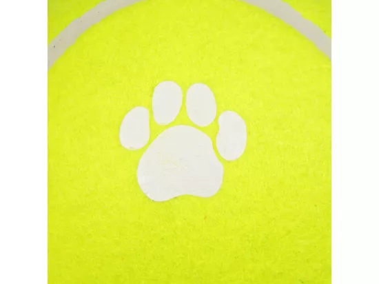 Jouet pour Chien 