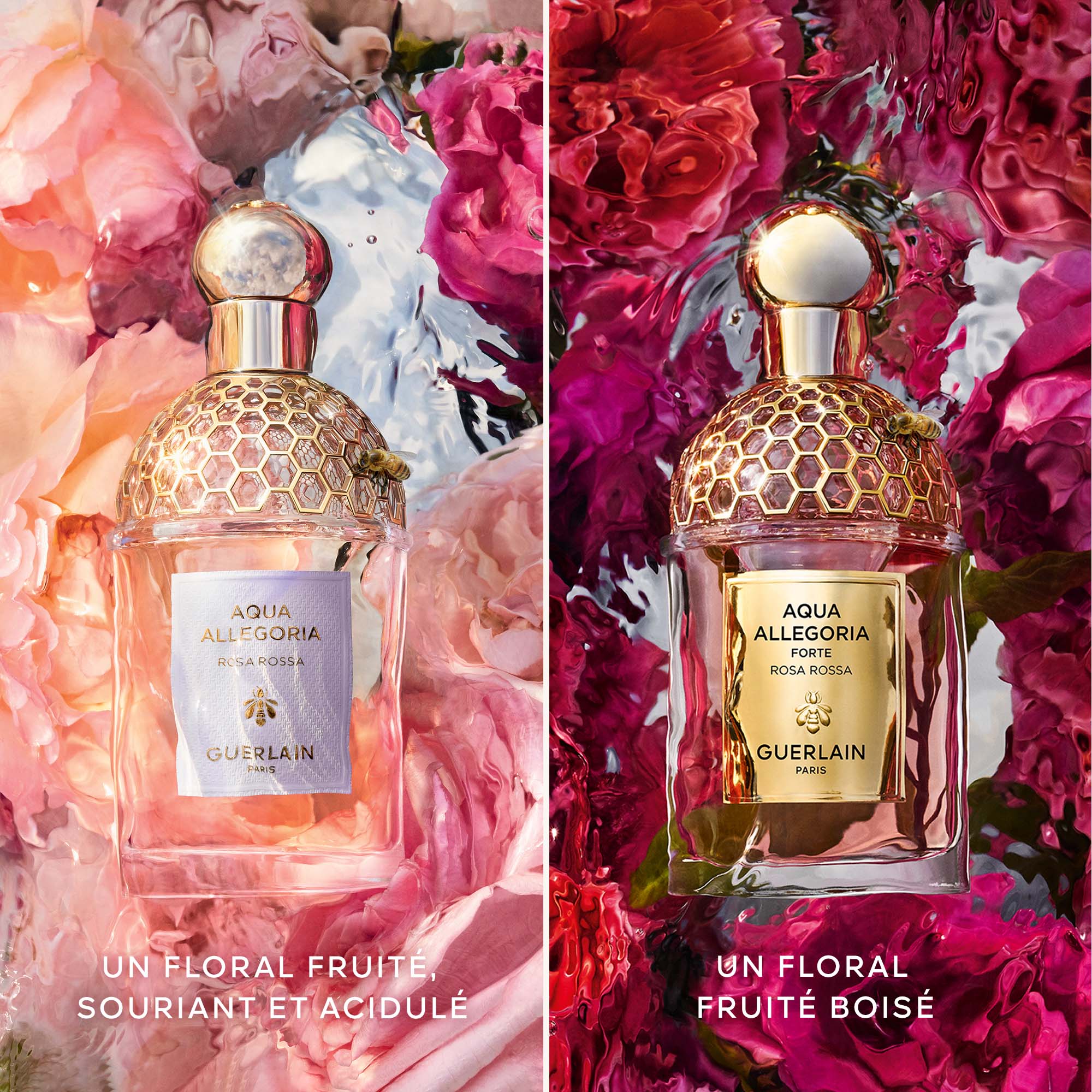 AQUA ALLEGORIA FORTE Rosa Rossa - Eau de Parfum |