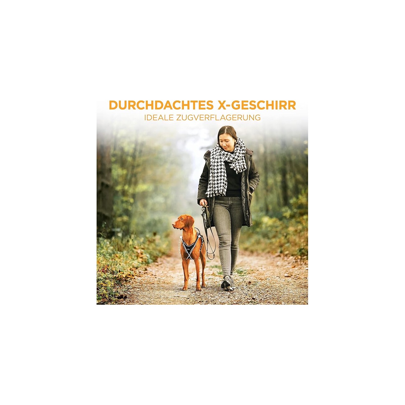 Tierhood Hundegeschirr schwarz S