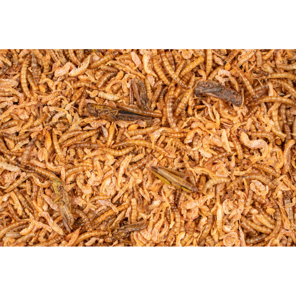 Deli Nature Chix Insectenmix180 gr