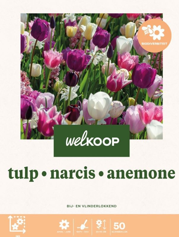Welkoop Tulp Narics Anemone - Biodiversiteit - Bloembollen