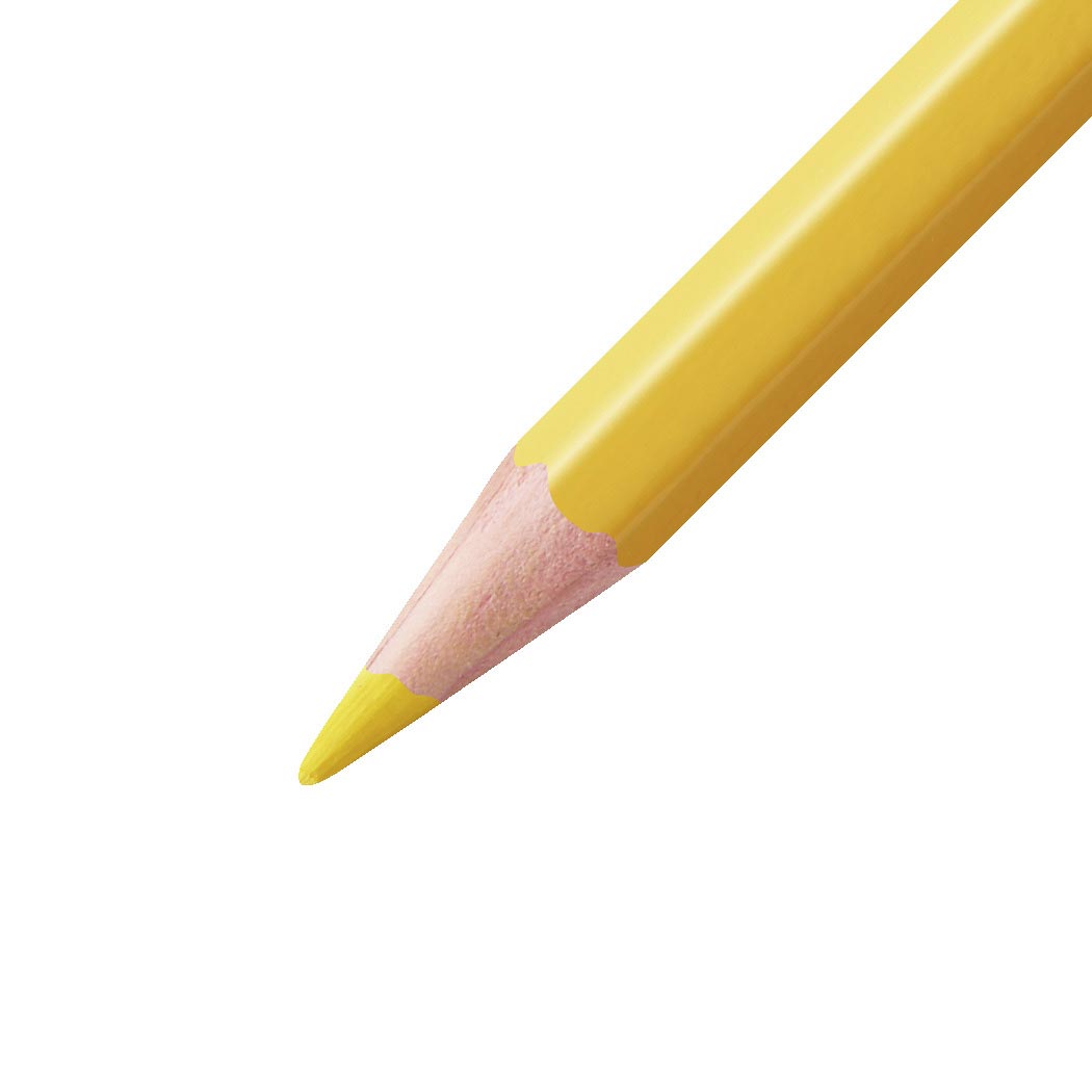 STABILO Aquacolor - Aquarel Kleurpotlood - Metalen Set 12 St.