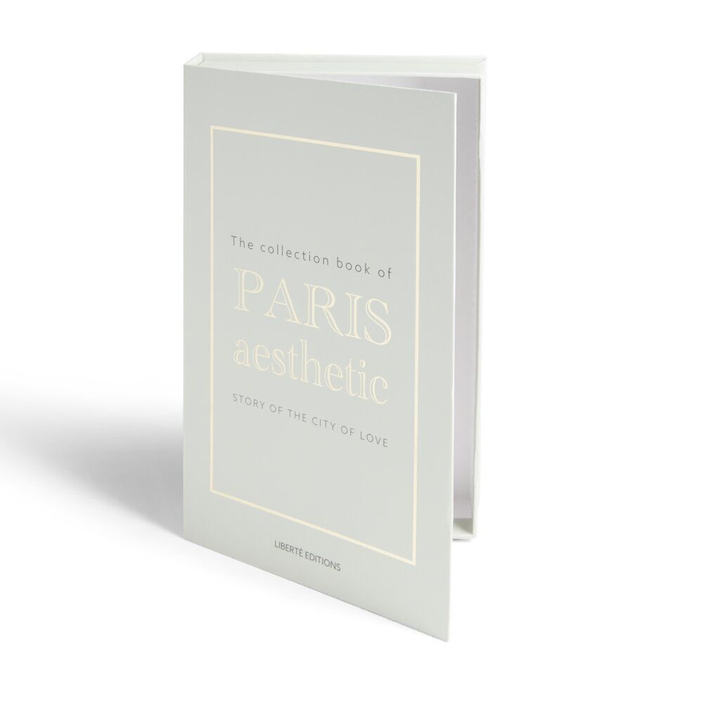 Boîte de rangement faux livre décoratif Paris Aesthetic 27x17x4cm