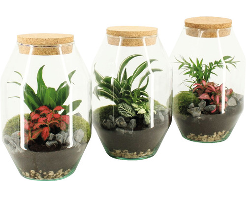 FloraSelf Flessentuin Complete Set - Gwen H 25 cm Ø 17 cm