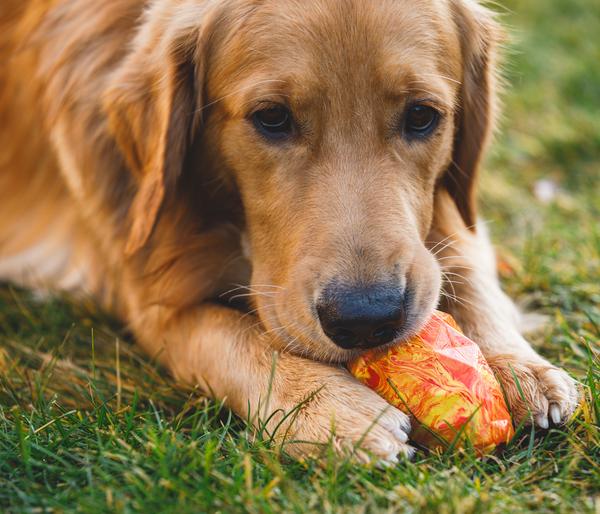 RUFFWEAR® Hundespielzeug Gnawt-a-Cone™, ca.