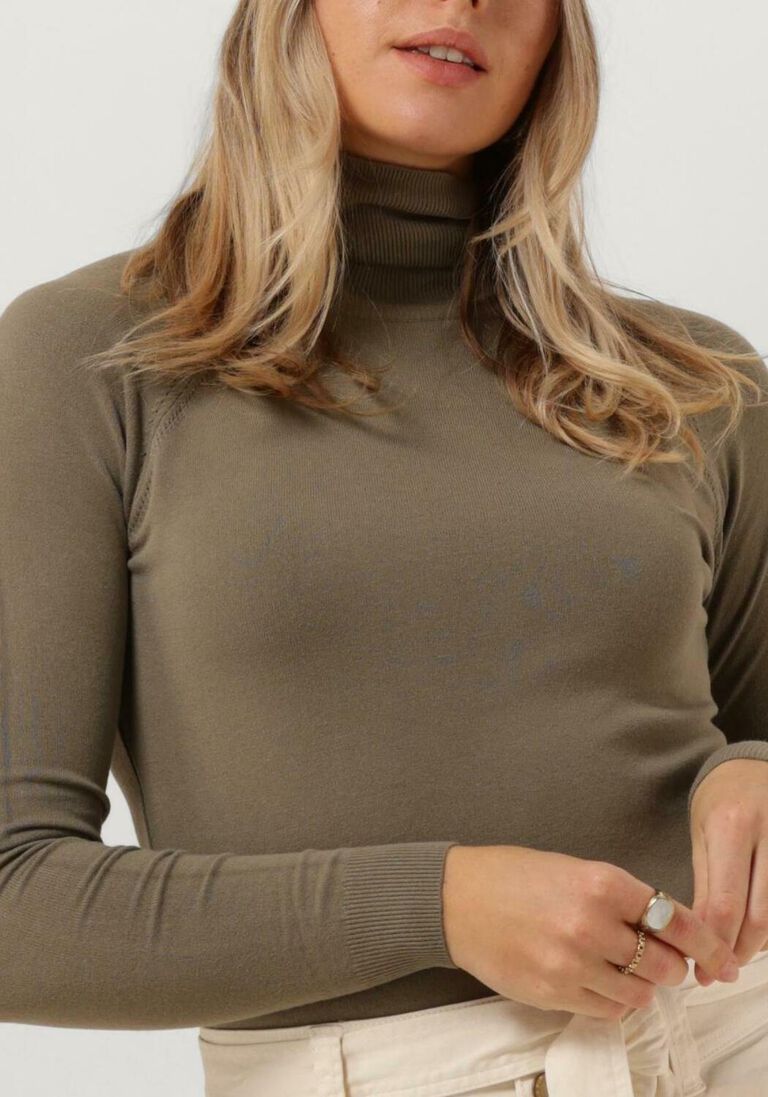 SUMMUM bruine summum coltrui turtle neck sweater
