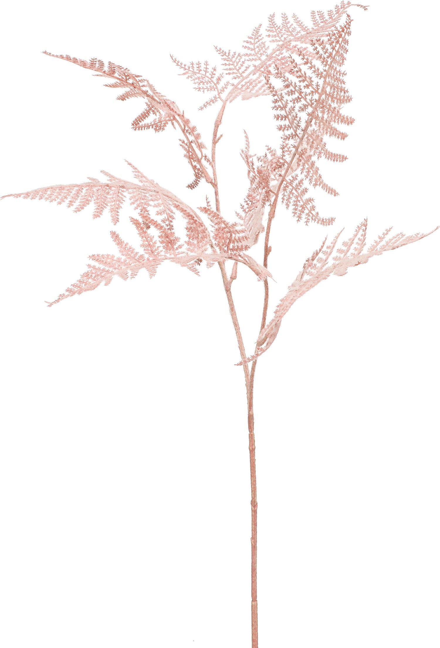 Emerald kunsttak Asparagus roze 65 cm