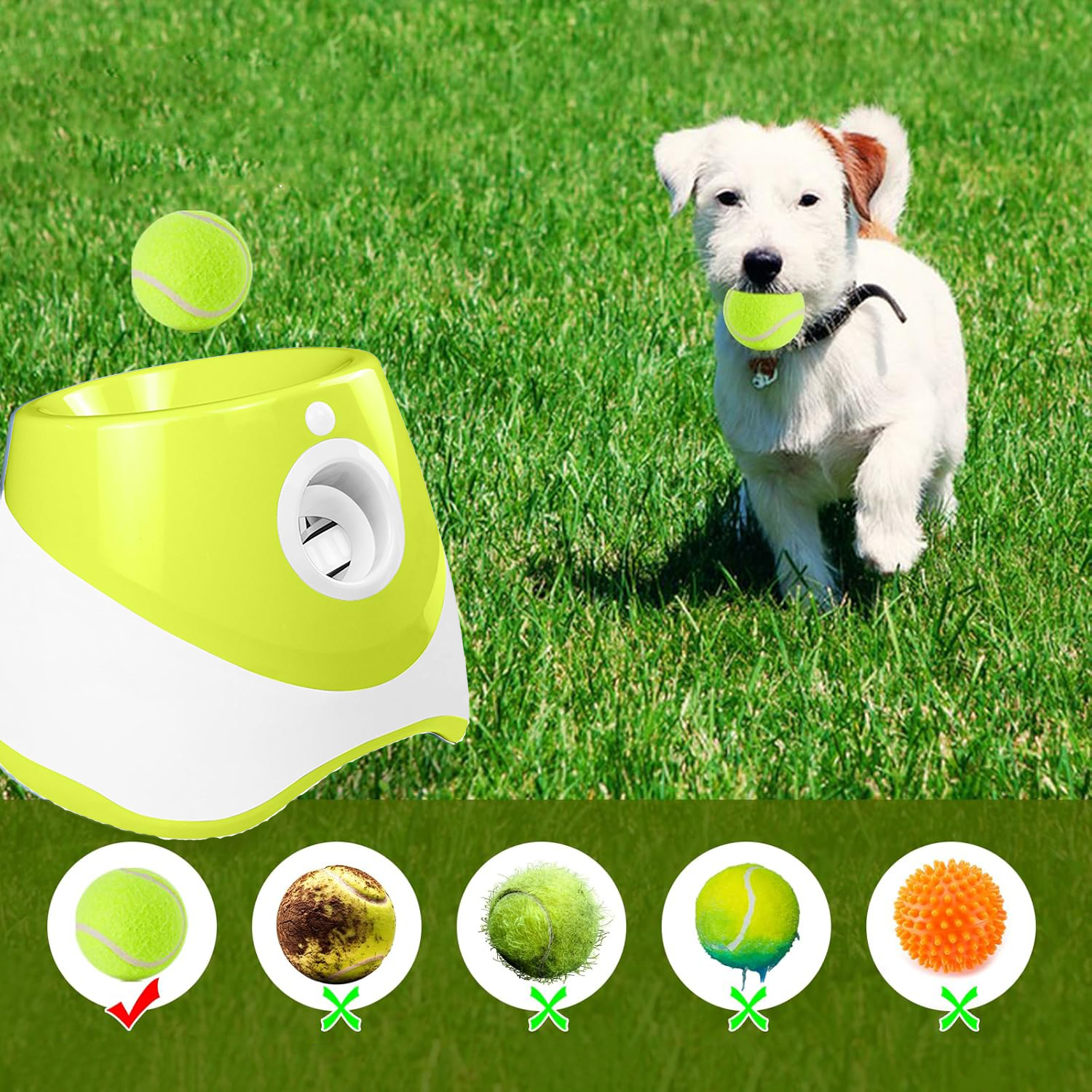 (26x22cm) Automatische Tennis Ball Wurfmaschine Interaktives Haustier Spielzeug für Hunde mit 3 Einstellbaren Distanzen inkl. 3 Bälle - Weiss / Grün