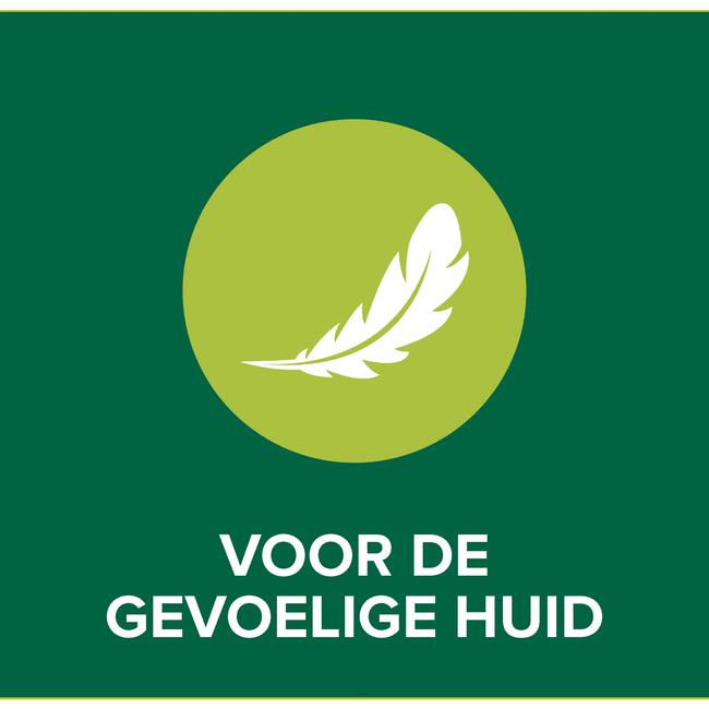 Palmolive Hygiëne Plus Sensitive Antibacteriële Vloeibare Handzeep 300 ML