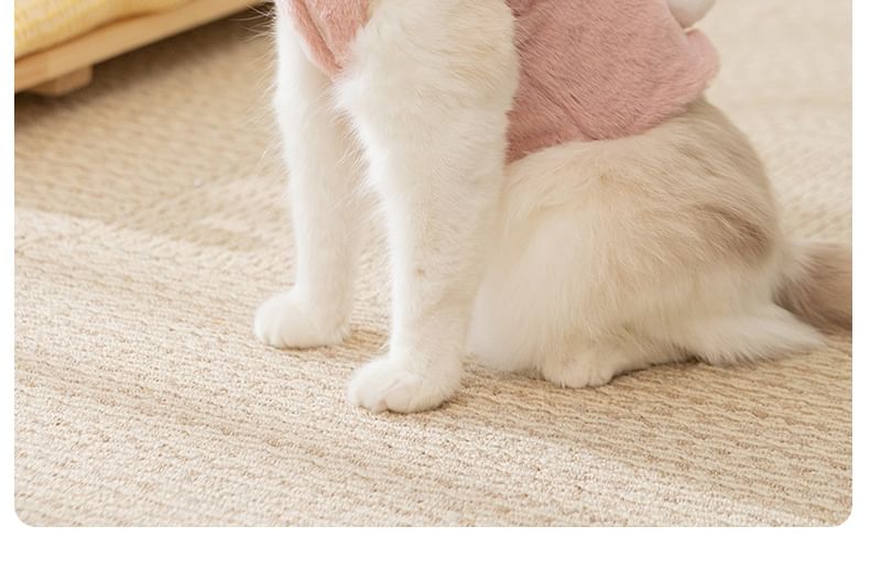 Cissilli - Chenille Pet Top met Dierenoren en Capuchon