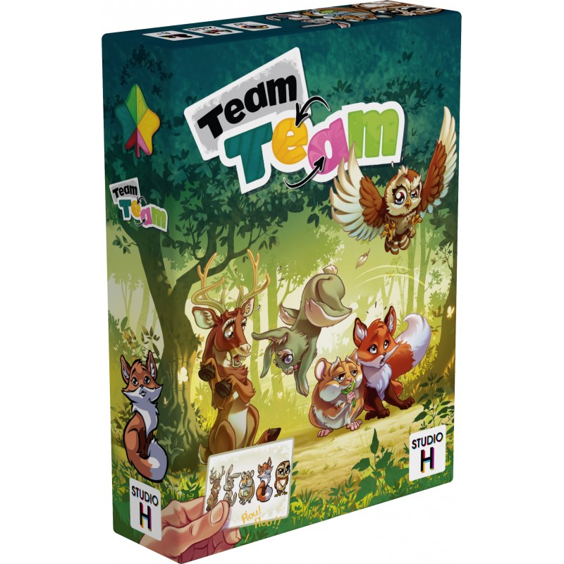 Team Team