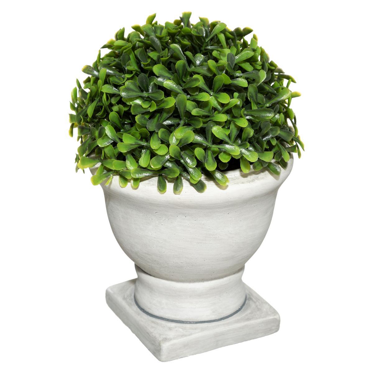 BUIS POT ROMANCE H.16CM