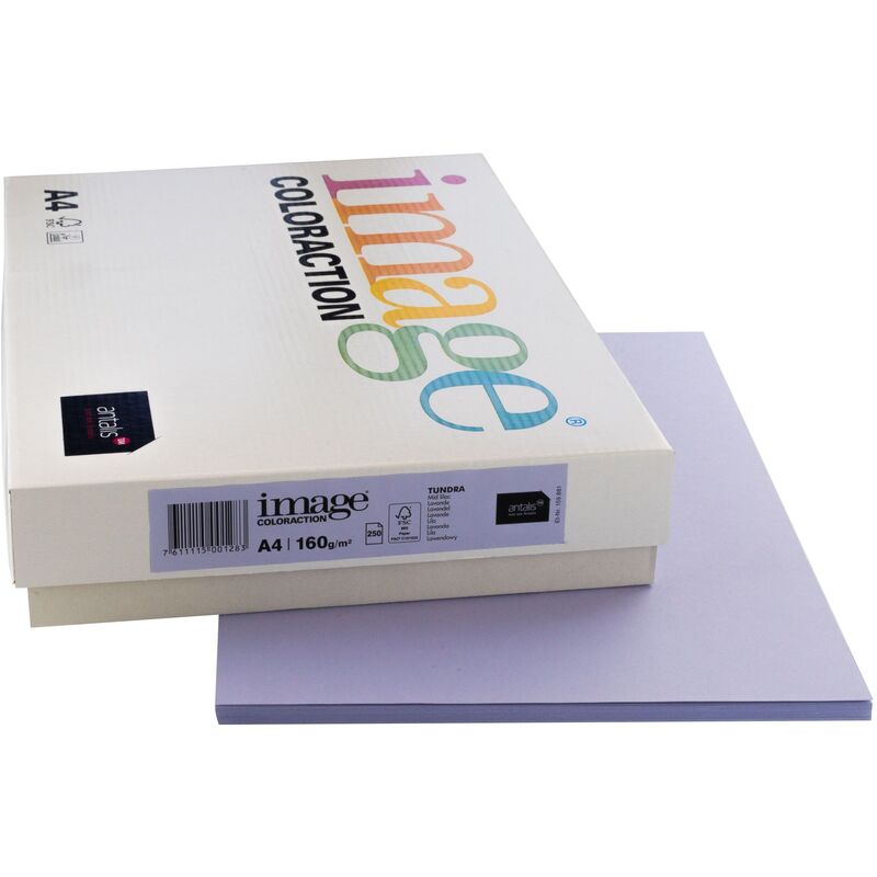 Image Coloraction Papier farbig, A4, 160 g/m², tundra lavendel