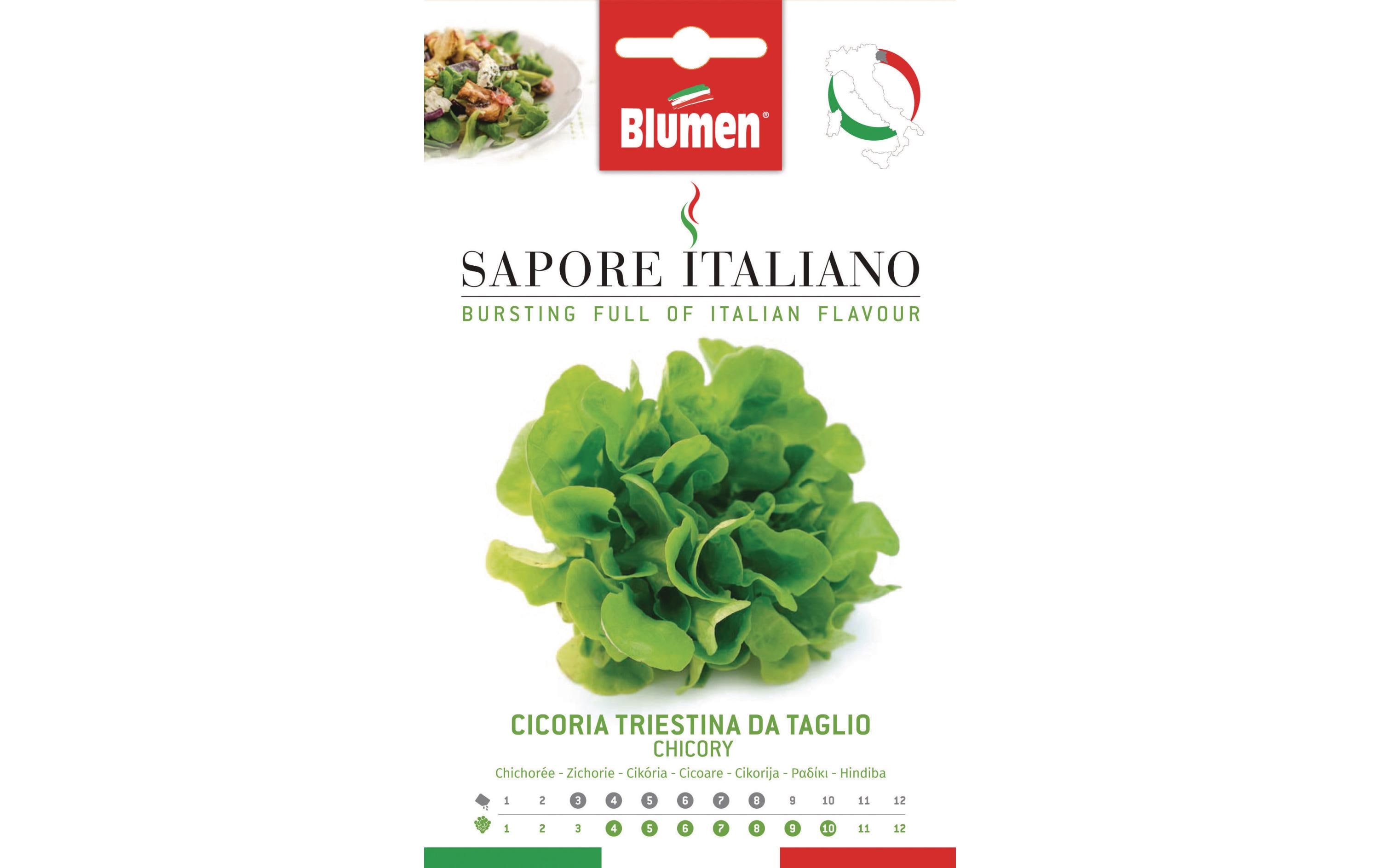 Samen Zichorie Triestina da TaglioGemüsesamen