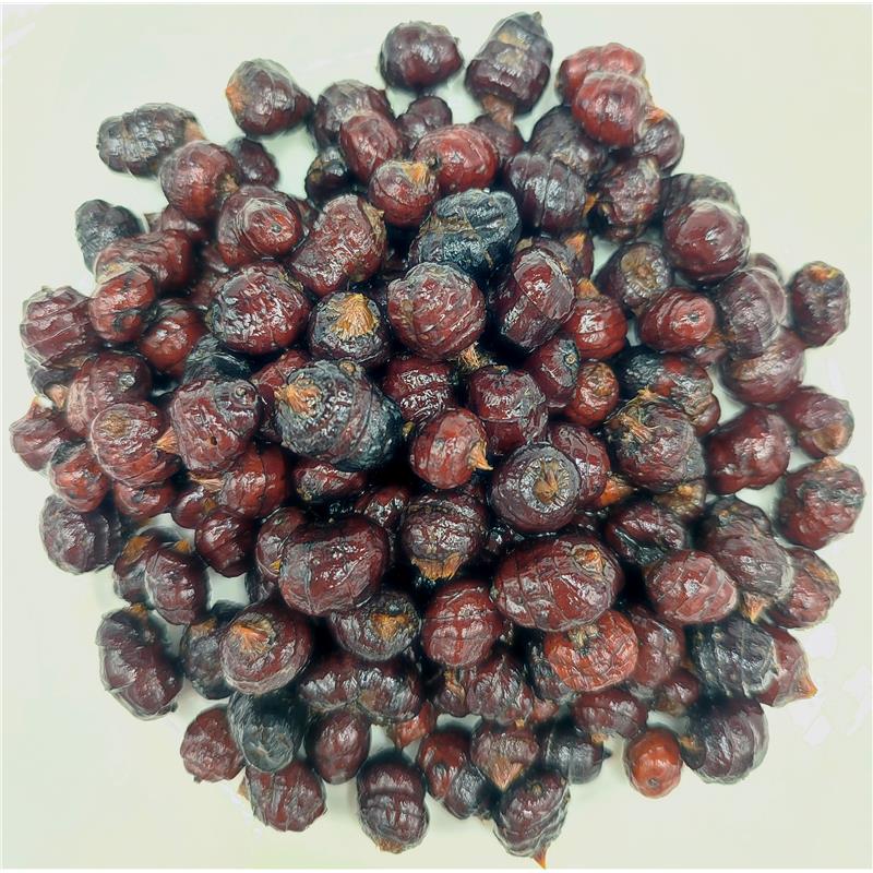 Graine Préparées Poseidon Particles Black Tigernuts