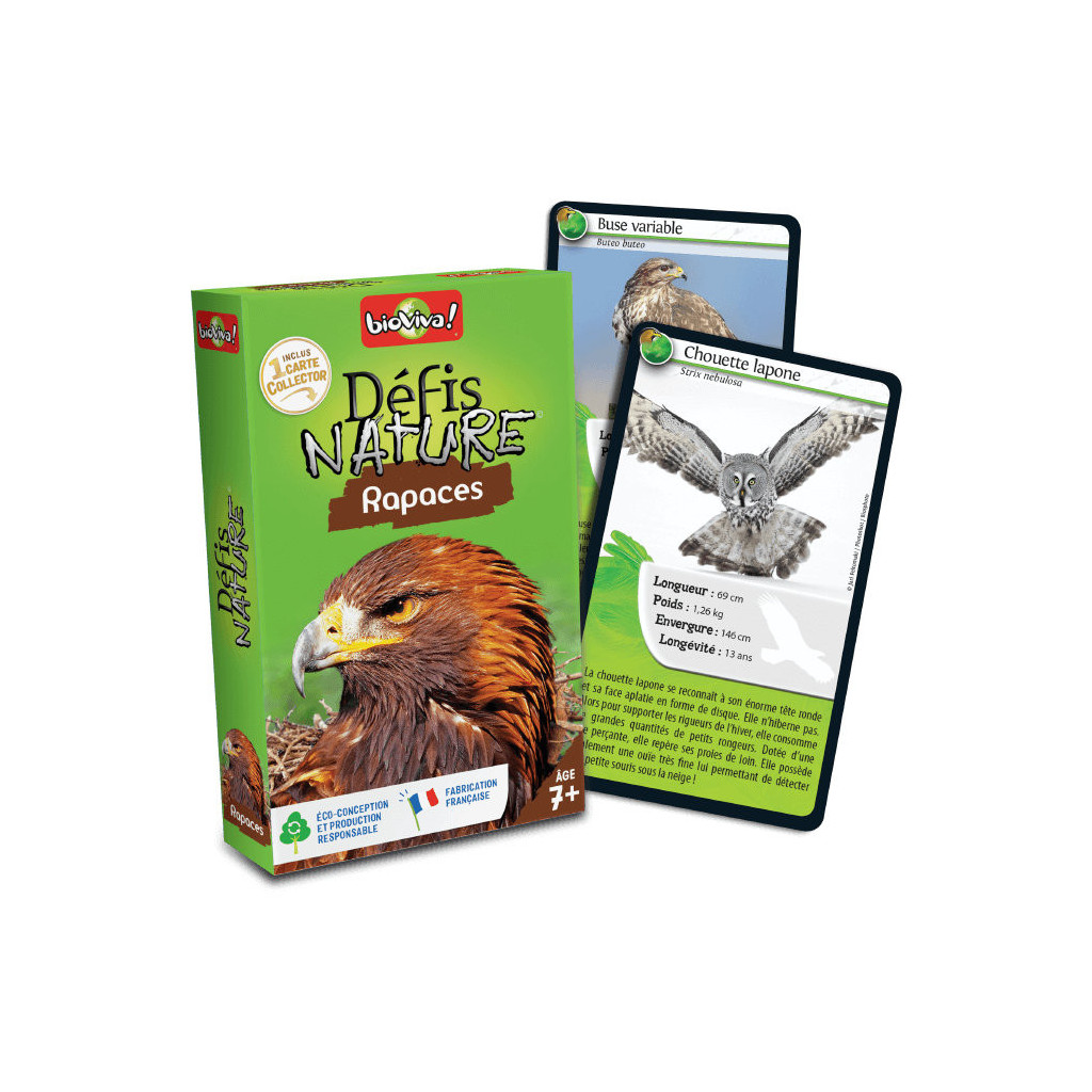 Défis Nature : Rapaces