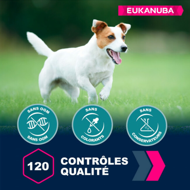 Croquettes Eukanuba Adulte Petites Races