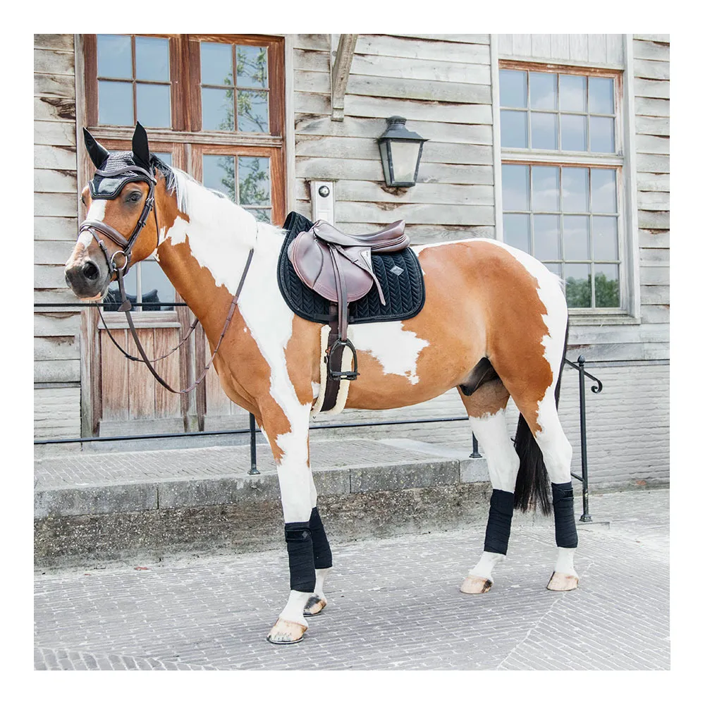 Kentucky VELVET PEARLS - Tapis d'obstacle black