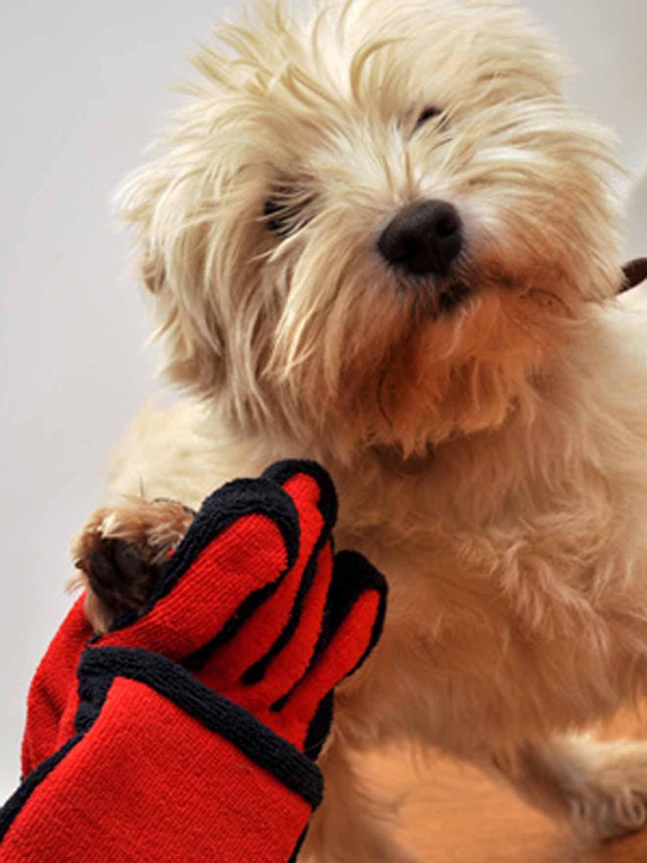 Gant en microfibre pour pattes d'animaux