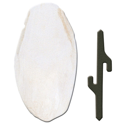 Ferplast Sepiaschale small mit Halterung