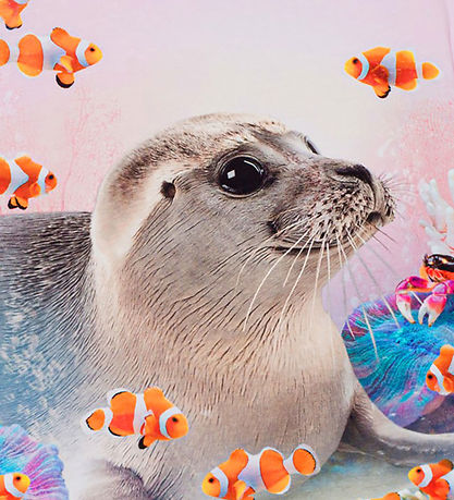 Molo T-Shirt - Rayah - Seal Reef