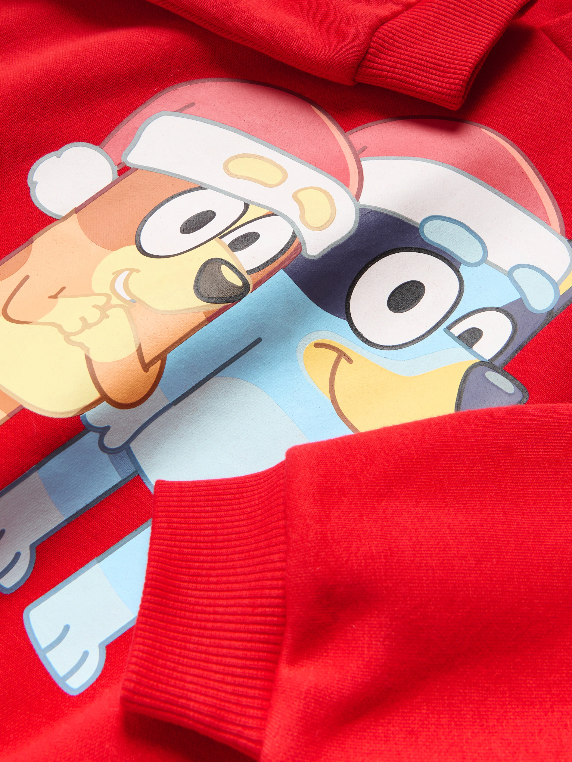 Bluey Pullover