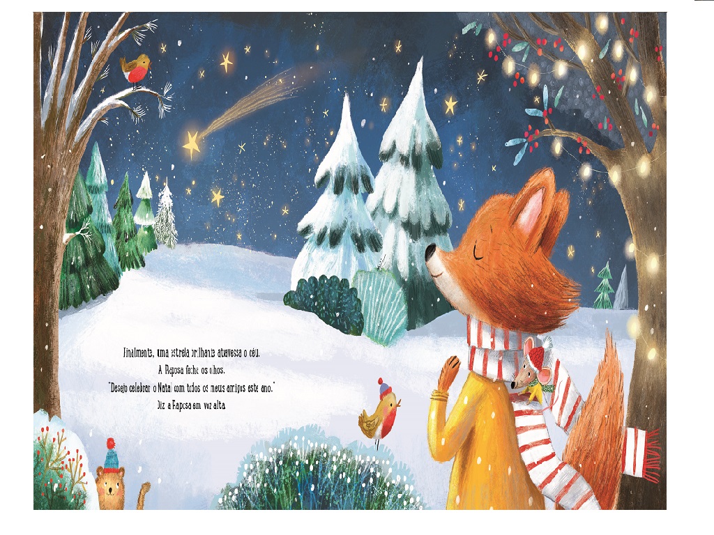 LIVRO TUDO O QUE PRECISO PARA O NATAL