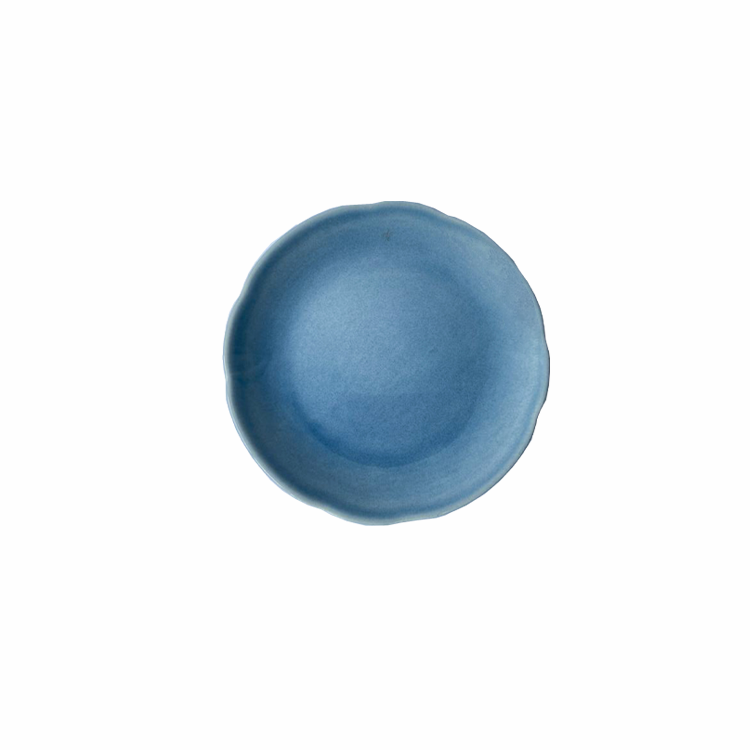 RG Plate 16cm - Water Blue