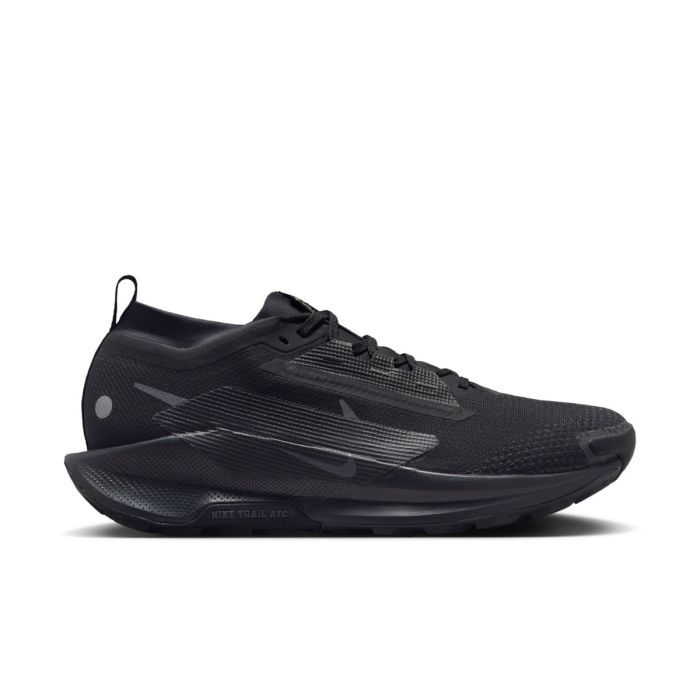 Nike Herre Trailsko Pegasus Trail 5 Gore-Tex Sort