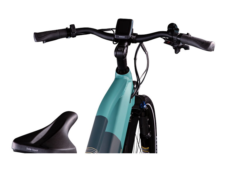Elektrische fiets trekking Z810 700c