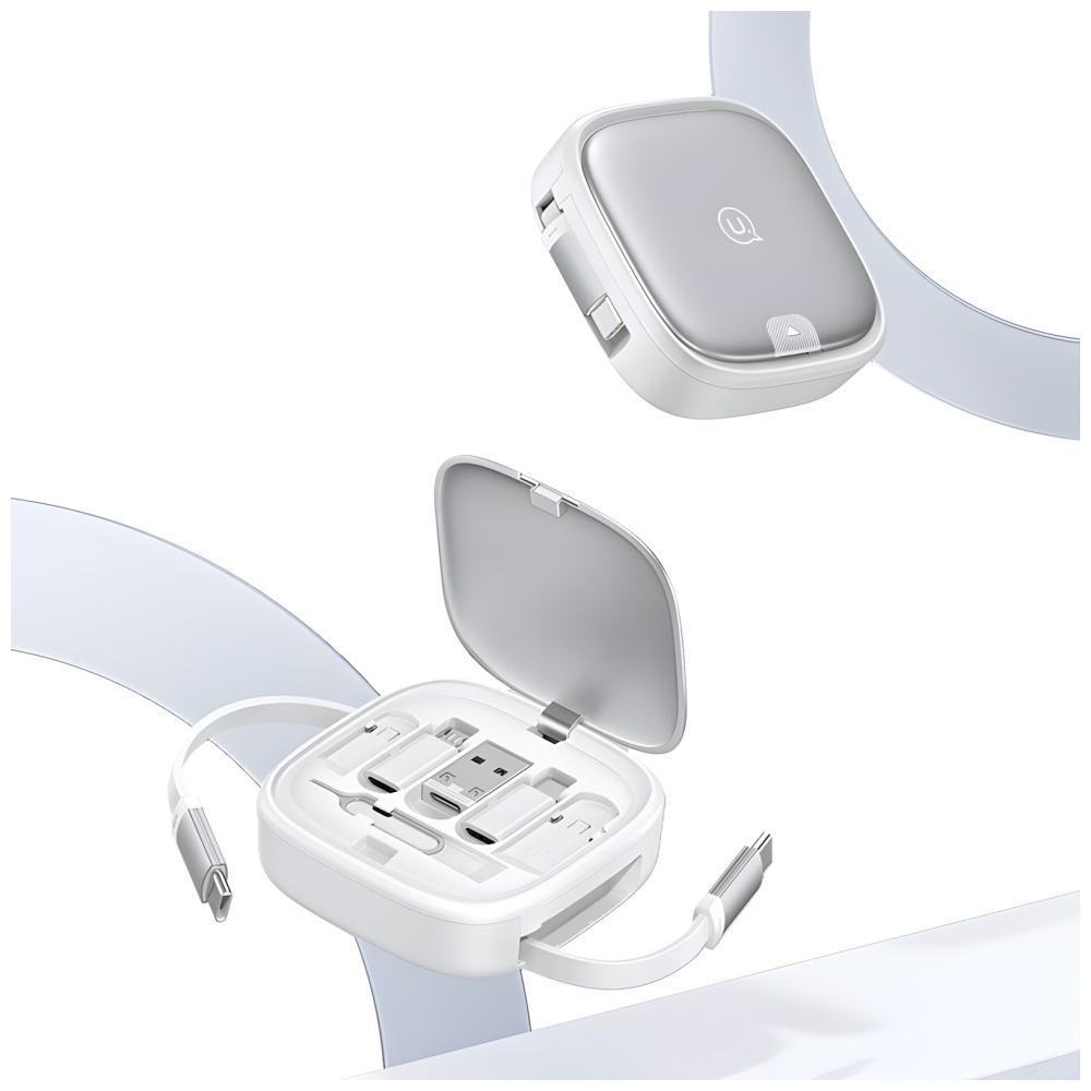 (1m) 60W 3in1 Mini Ausziehbares USB C auf USB C / Lightning / Micro USB Ladekabel Datenkabel mit Aufbewahrungsfach (USA001336) - Silber