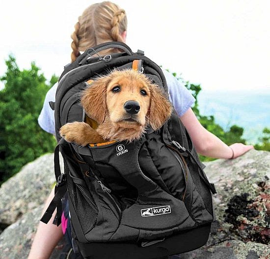 Kurgo G-Train Pack Rugzak Hond | Black | 11631.1