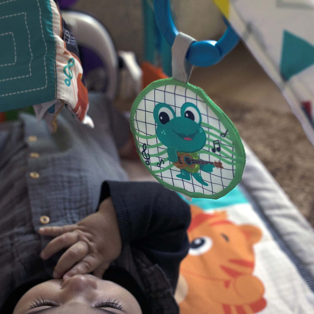 Køb Baby Einstein 4-In-1 Musik And Language Discovery Gym