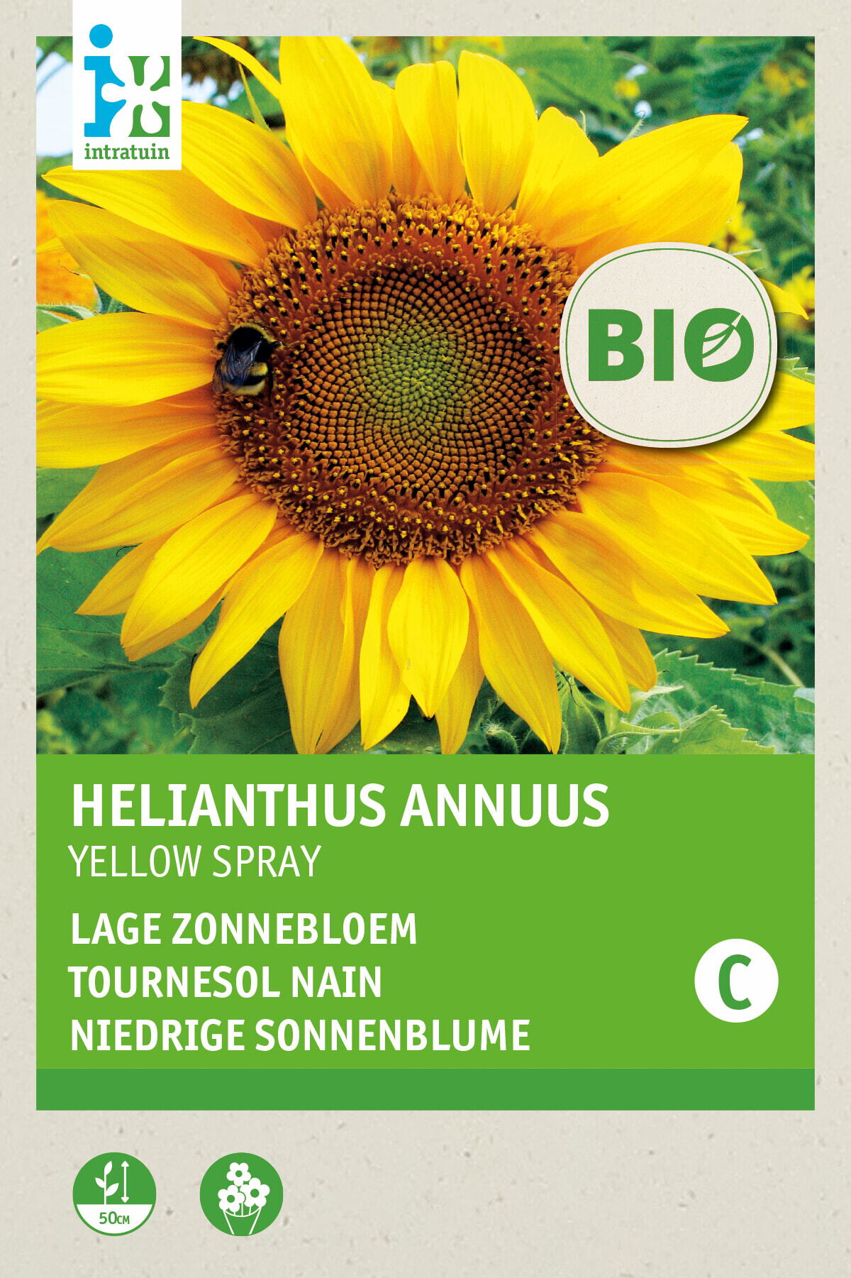 Biologische Intratuin bloemenzaad Zonnebloem (Helianthus annuum 'Sunspot')