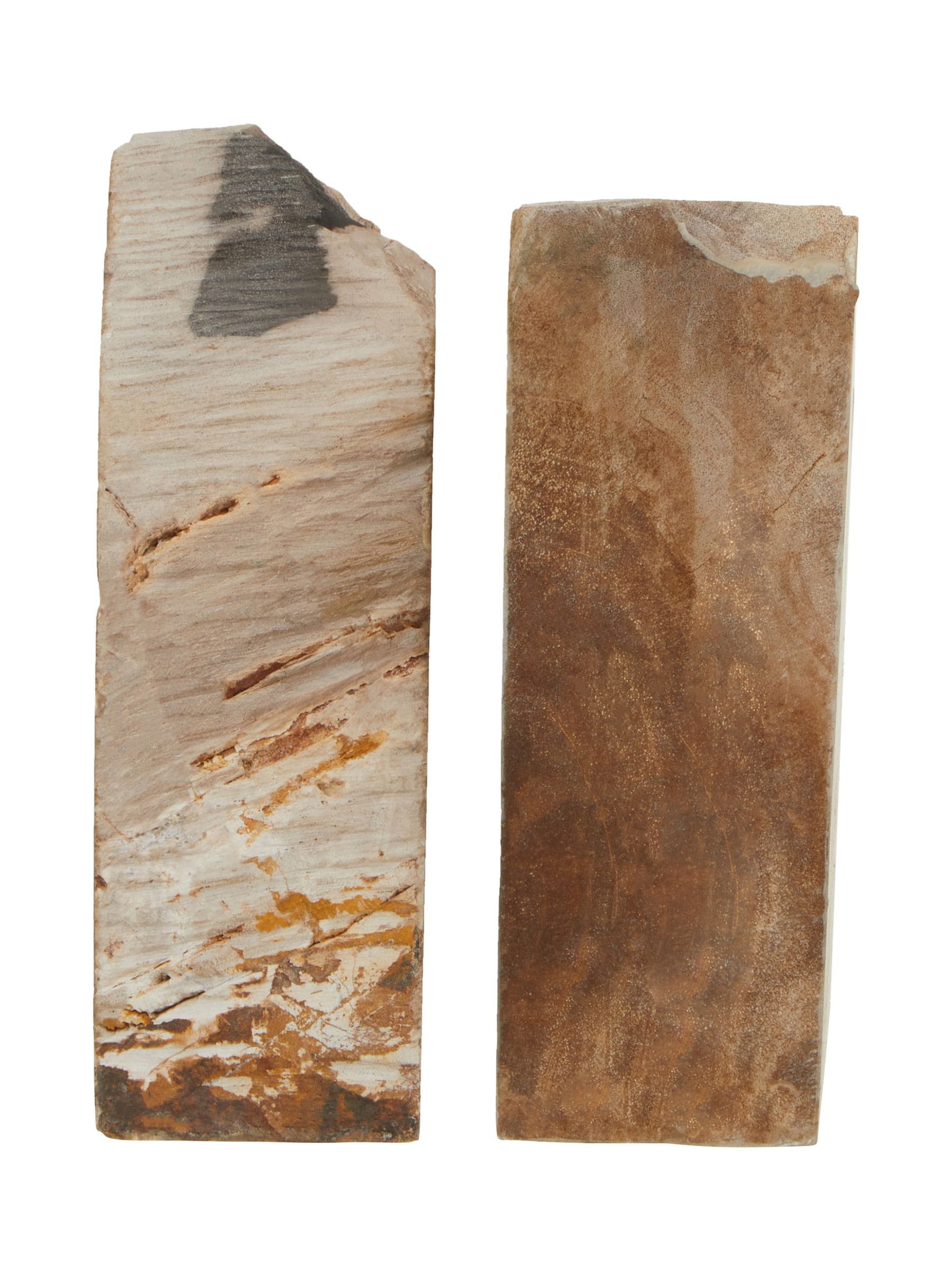 Fifty Five South Relic Set Of 2 Petrified Wood Bookends