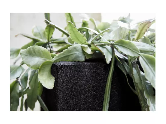 Jardinière Urban Smooth Carrée 40 x 40 x 40 cm Noir KBL903