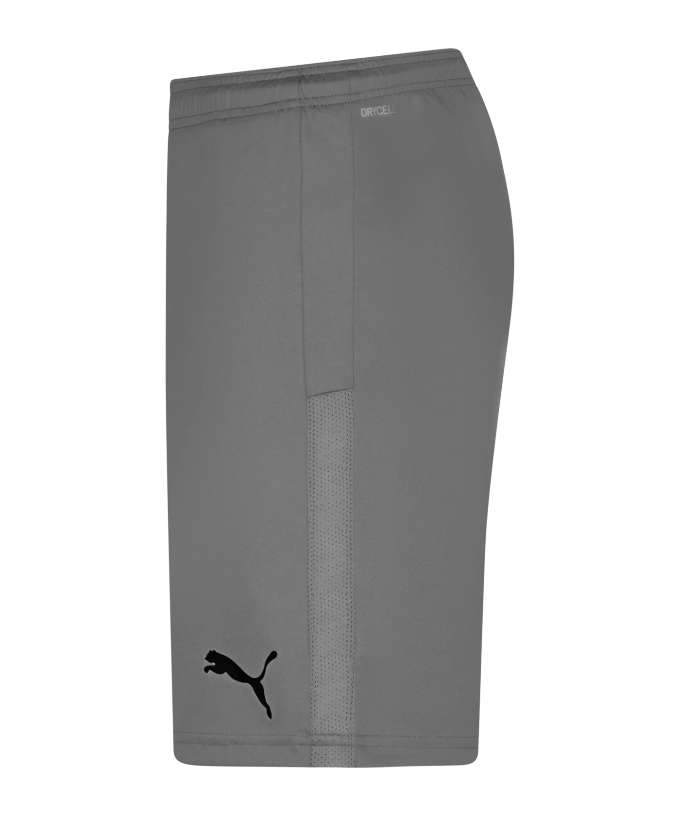 PUMA teamGOAL 23 Knit Short Grau F13