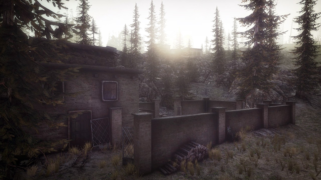 Insurgency- PC
