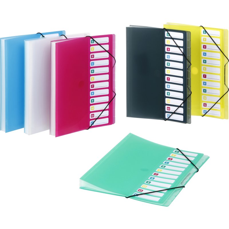 Trieur extensible 12 compartiments A4 Polypropylène - PROPYGLASS - Viquel - 25,5 x 32 cm