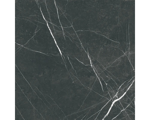 Steengoed wand- en vloertegel Davos zwart 60 x 60 x 0,9 cm glanzend