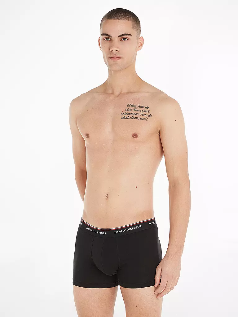 TOMMY HILFIGER Pants 3er Pkg grey grau