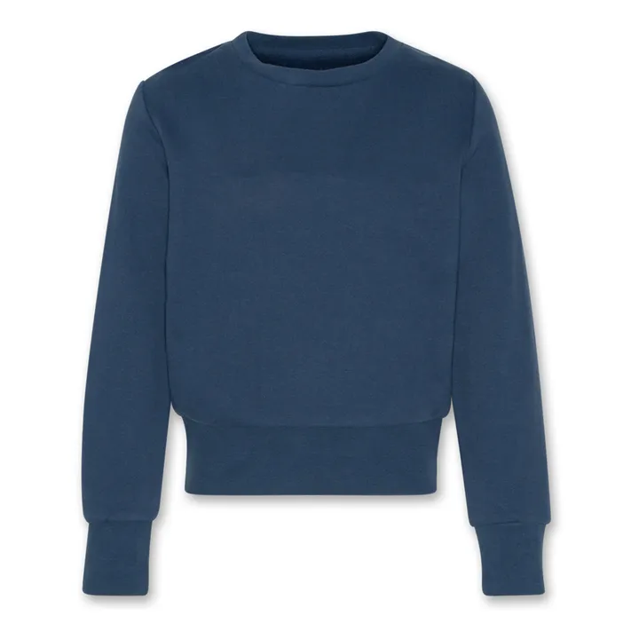 AO76 Sweat Lana Logo | Bleu