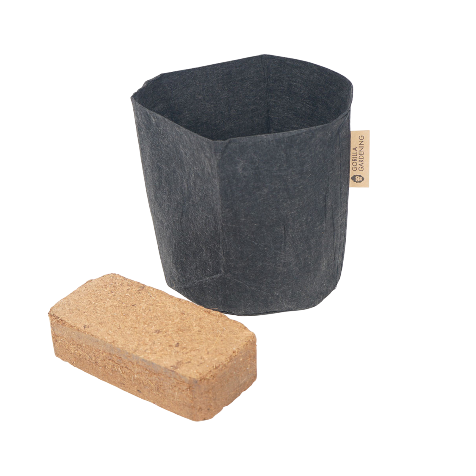 Pflanzsack Gurke