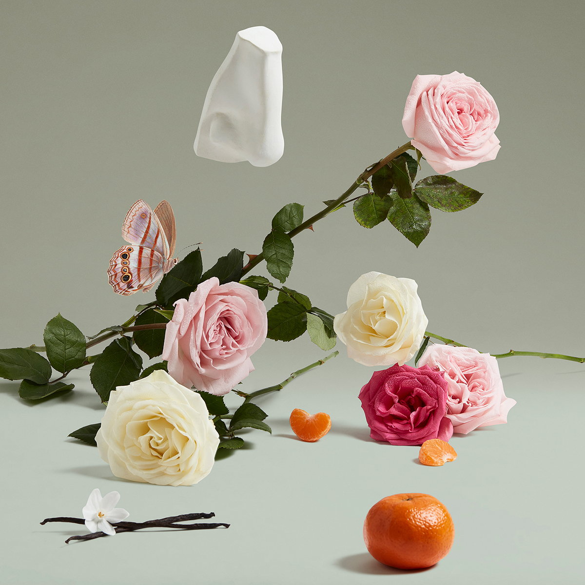 The Coveted Duchess Rose Eau de Parfum 75ml