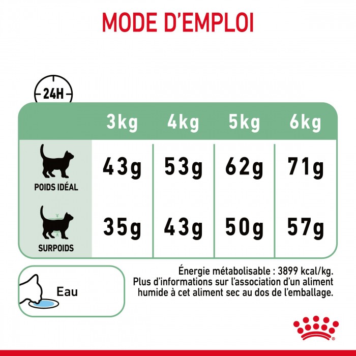 ROYAL CANIN Digestive Care – Croquettes pour chat