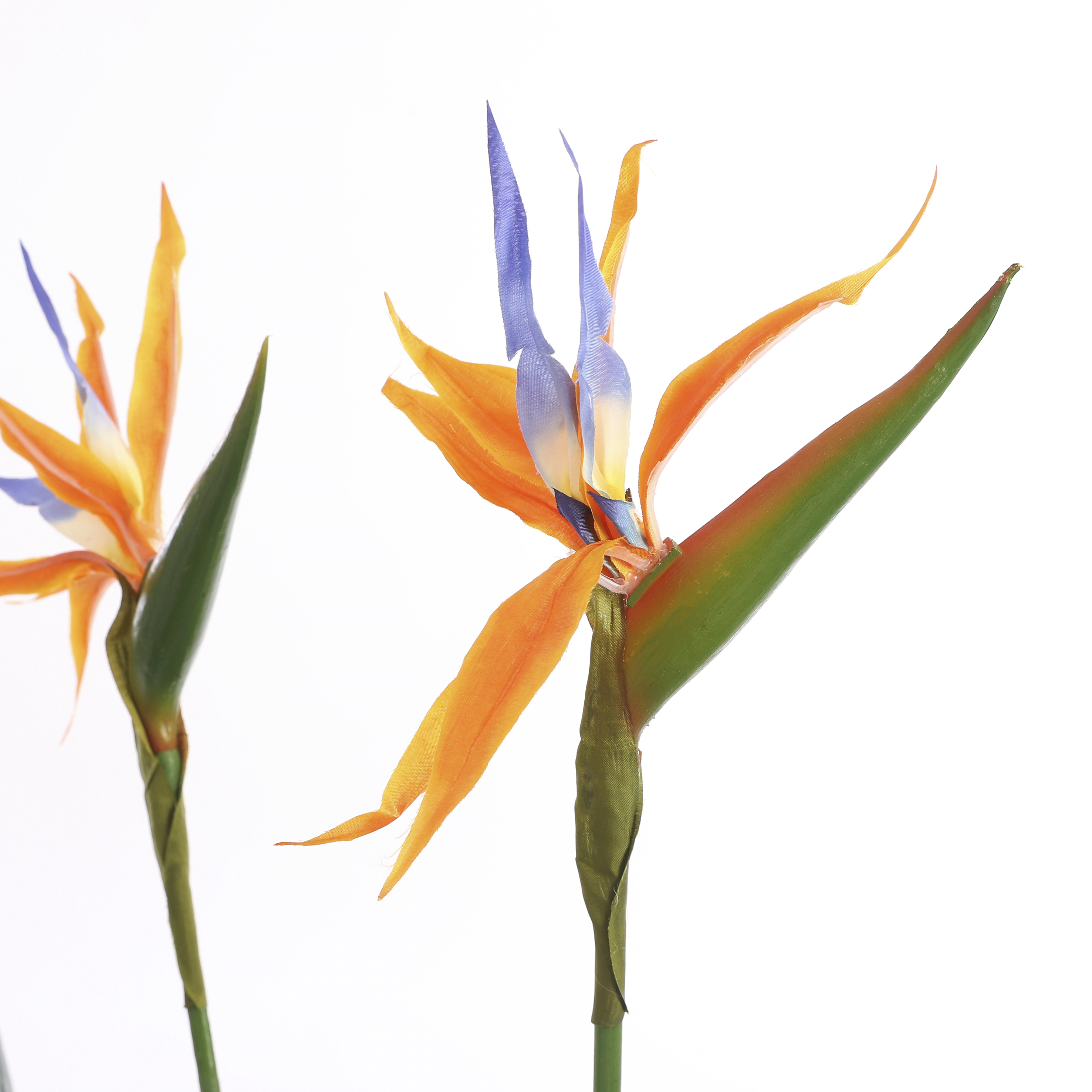 Strelitzia artificielle vert en pot h110