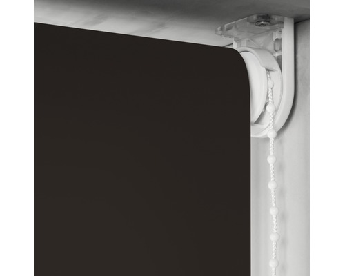 Soluna daglichtrolgordijn T10, effen bruin, 60x190 cm