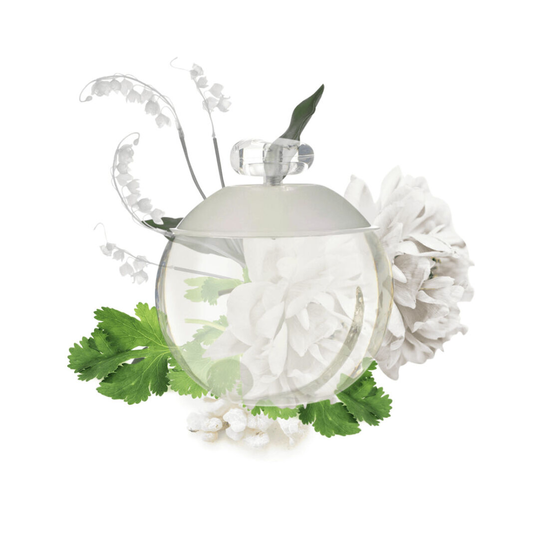 Noa Eau de Toilette - 50ml